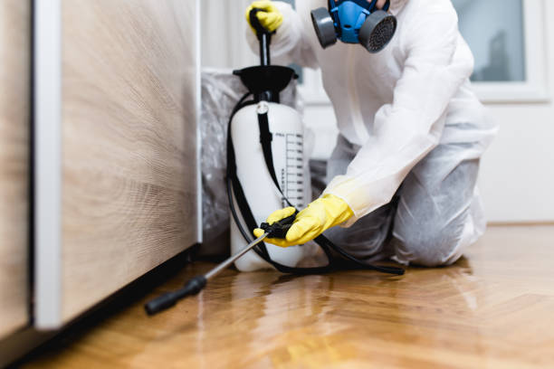 Best Exterminator Services  in Smithton, IL