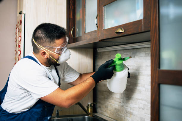 Pest Control for Restaurants in Smithton, IL