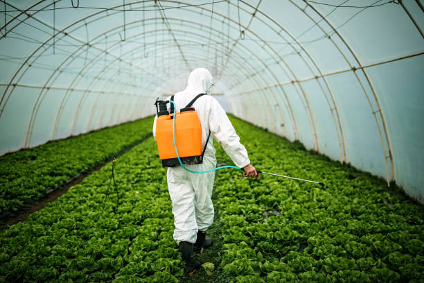 Best Pest Control Cost  in Smithton, IL