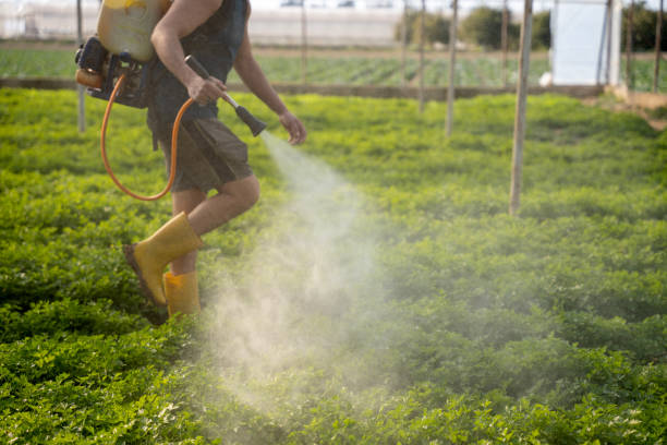 Best Pest Prevention Services  in Smithton, IL
