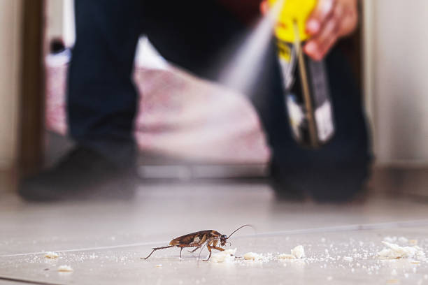 Best Pest Control Near Me in Smithton, IL