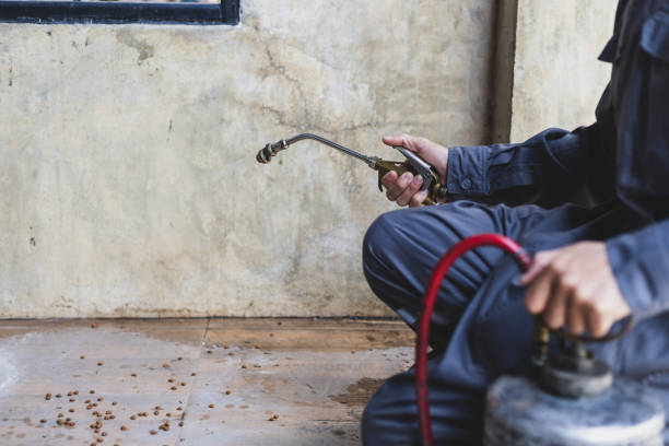 Best Ant Control Services  in Smithton, IL
